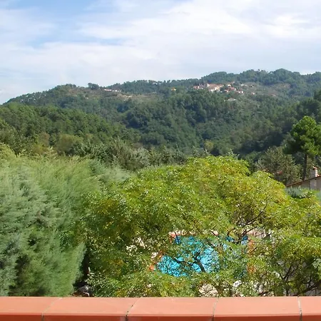 L'olivella * Massarosa